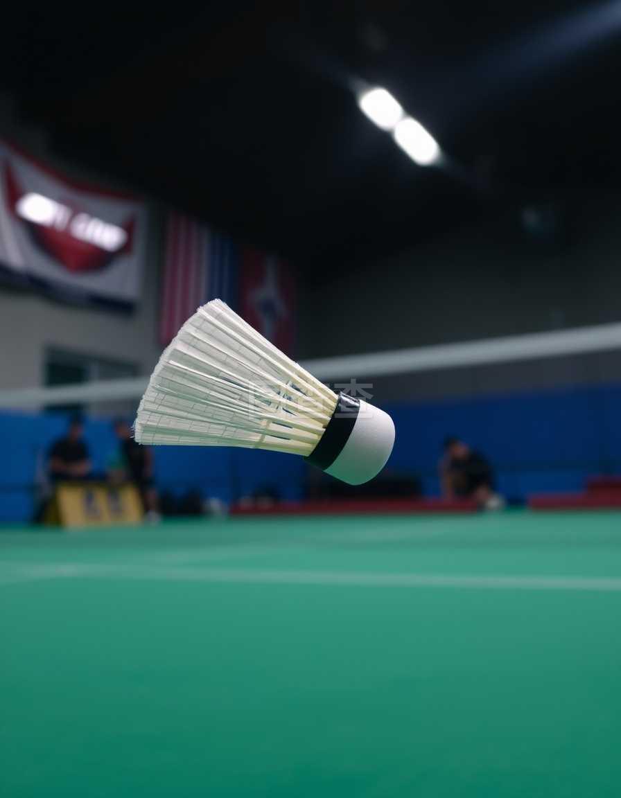 仅是双方在 仅是双方在