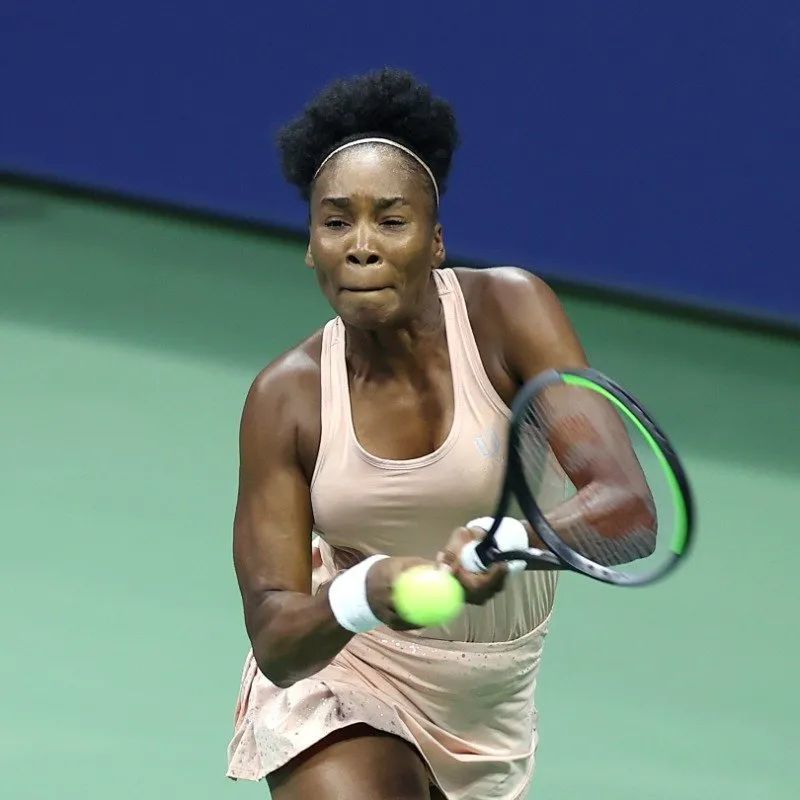 仅揭示了 仅揭示了