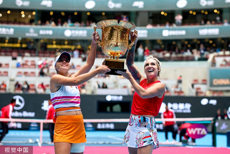 视野和塔皮 视野和塔皮